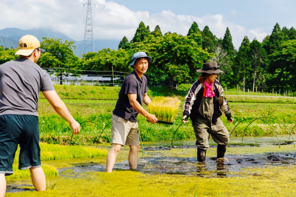 親子で田植え体験やりました！
