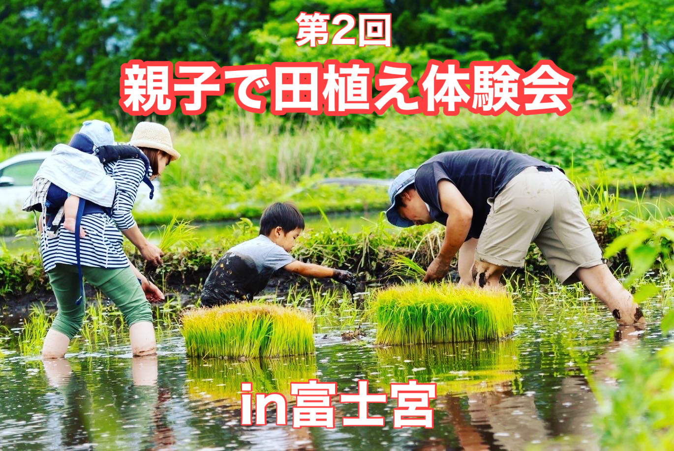 第2回 親子で田植え体験会やります！
