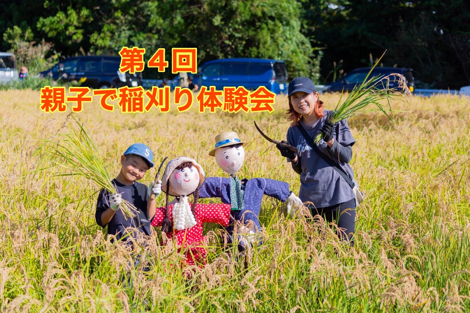 第4回親子で稲刈り体験会!